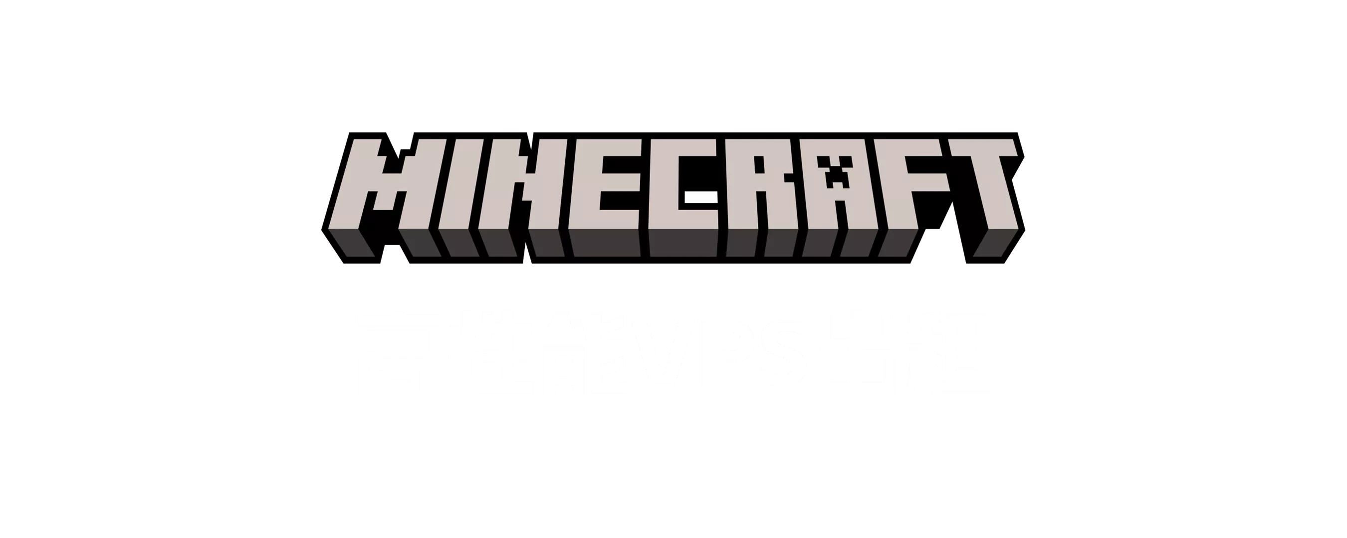 我的世界 服务器 VPS 联机开服不卡 远程桌面 小竹VPS Minecraft - 秋竹源小铺